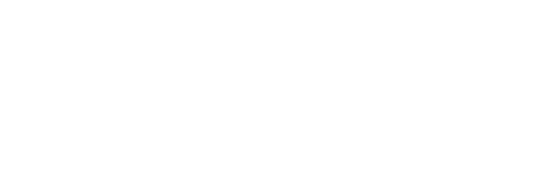 logo white - Villa Napoleon Dieng